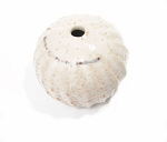 Kuehle Tautropfen - Japanische Vase