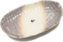 Kazu Platte - Oval