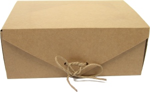 Geschenkbox 18x13x7,5cm